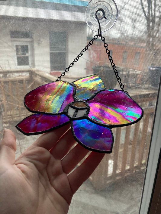 Iridescent Orchid